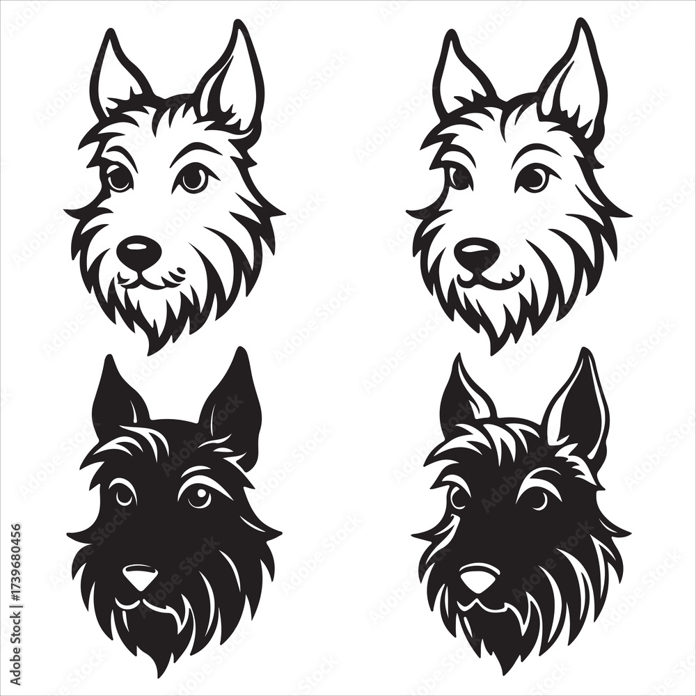 Naklejka premium A Dignified Scottish Terrier Dog, the Feisty Diehard Breed with a Compact Lowrider Body, Characterized by its Wiry coat and Bearded Muzzle Silhouette