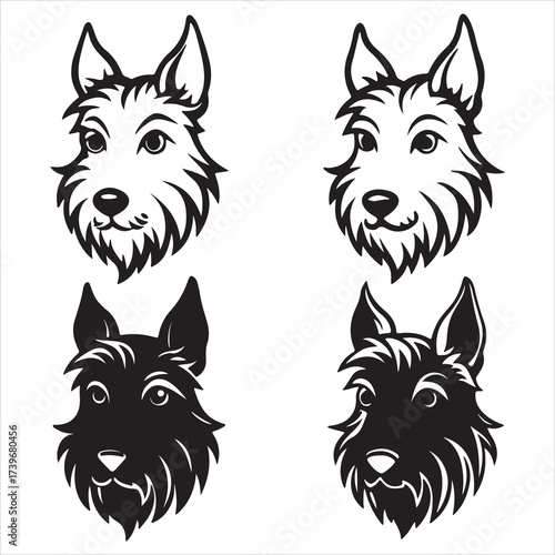 A Dignified Scottish Terrier Dog, the Feisty Diehard Breed with a Compact Lowrider Body, Characterized by its Wiry coat and Bearded Muzzle Silhouette