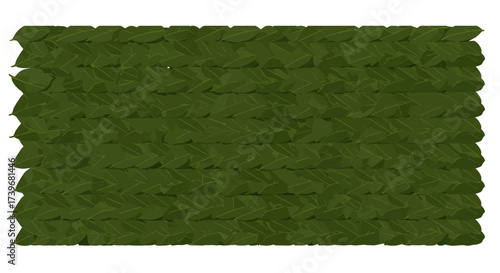Green leafy hedge arranged horizontally resembling a flat dense wall
