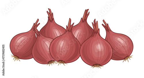 Six red onions are bunched displaying their bulbs and dried tops on a white background
