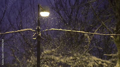 Evening Snowfall in the Park. Street lamp illuminates the snow