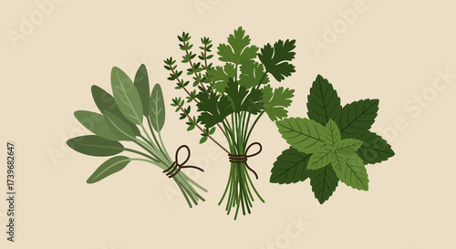 Three herb bunches sage thymeparsley mix and mint arranged on a beige backdrop