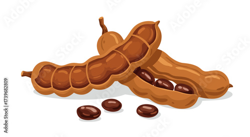 Two tamarind pods sit beside several seeds in this illustration