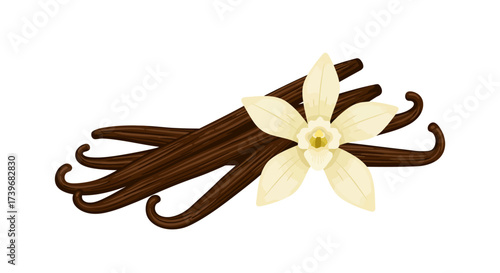 Vanilla bean pods with a pale yellow vanilla flower atop them against a white backdrop