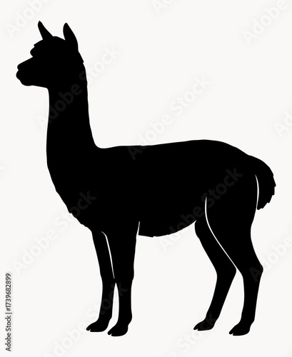 Black and white illustration of an alpaca silhouette on a white isolated background. Vector graphics. EPS.