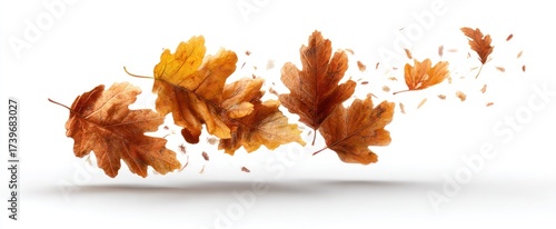 Autumnal leaves in shades of orange and brown drift against a clean white background