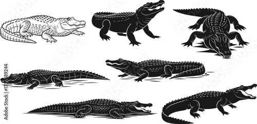 Alligator illustration set, stylized reptile poses, walking, resting, turning, aggressive stance, black vector design
