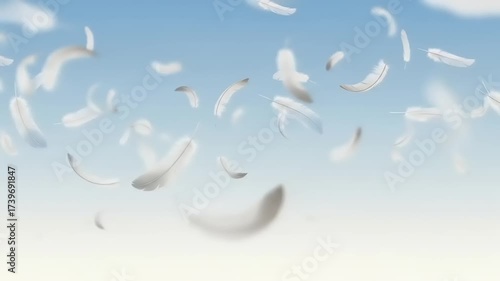 Soft White Feathers Gently Falling From a Blue Sky.