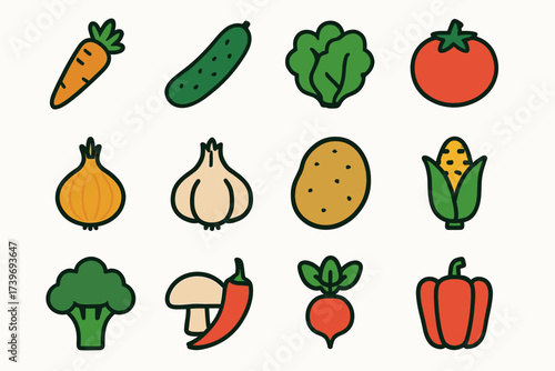 Colorful illustrated vegetables: carrot, cucumber, tomato, onion, corn, broccoli