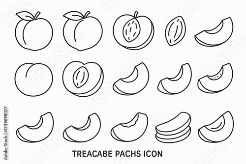Collection of peach and nectarine icon art with slice variations
