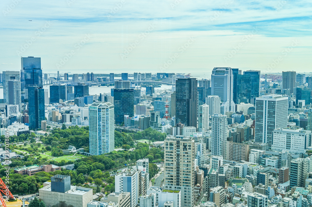 Obraz premium 日本の首都東京
