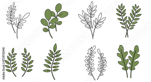 Collection of delicate botanical leaf line drawings in various green shades