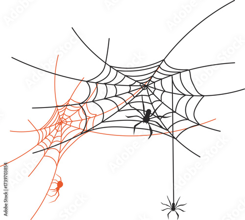 Spider Web