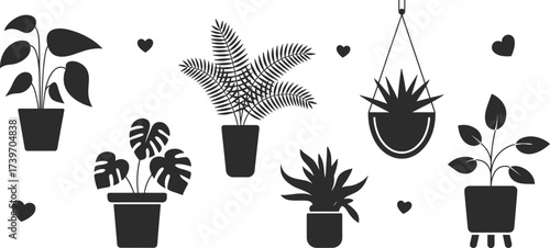 Black and white plant silhouette illustration, monstera and ferns in pots, hanging indoor plants, modern botanical vector, decorative houseplant design