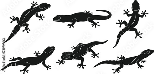 Gecko silhouette illustration set, climbing pose, crawling motion, adhesive toes, reptile anatomy, vector black design