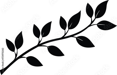  a branch with leaves vector