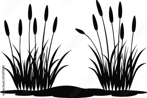Serene silhouette vector illustration of tall cattails and reeds swaying by a calm pond with floating lily pads