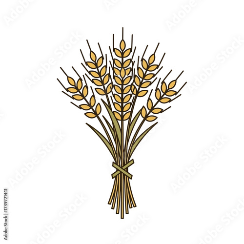 Illustration of a bundle of wheat stalks tied together with a string.