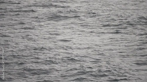 Close-up view of a calm gray ocean surface with gentle rolling waves and subtle ripples, capturing the textured movement of open water under overcast light as a serene seascape backdrop.
