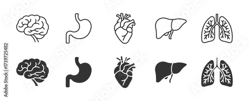 Anatomical  Icons  of Human Organs and Internal Body Parts for Medical Design Projects, vector illustration . 