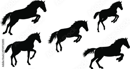 Horse silhouette vector illustration, running horse clipart, rearing horse design, black horse icon, animal motion graphic, cad drawing flat vector illustration