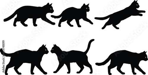 Black cat silhouette vector set, feline walking leaping standing poses, animal motion illustration, pet behavior study, cad drawing flat vector illustration