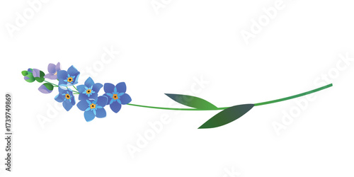 Vintage vector floral element. A branch of blooming forget-me-nots. Spring flowers with blue petals. Clipart for wedding designs, Mother's Day, and Valentine's Day greeting cards.
