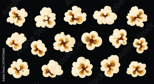 A collection of fluffy popped corn kernels arranged in rows on a black background.