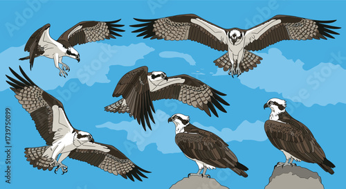 A collection of pixel art illustrations depicting ospreys in various flight and perched poses against a sky background.