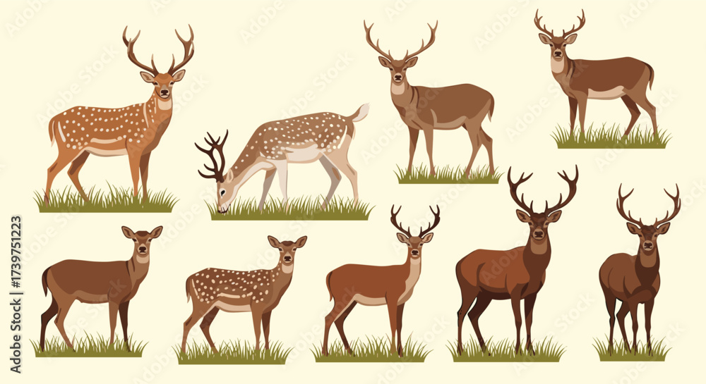 Naklejka premium A collection of majestic deer with antlers standing in grassy fields.
