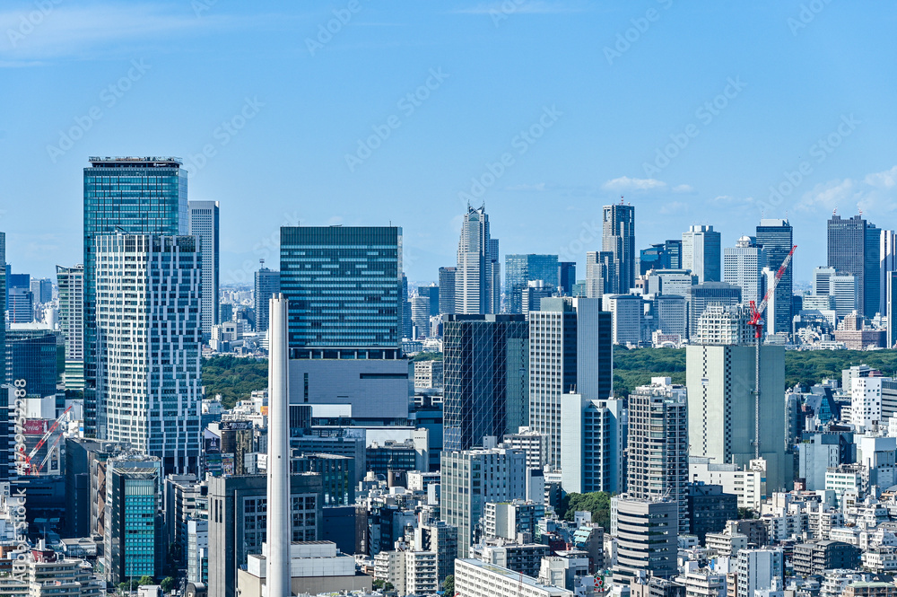 Obraz premium 日本東京の都市風景