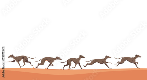 A line of elegant greyhounds running across a sandy terrain in animated sequence.