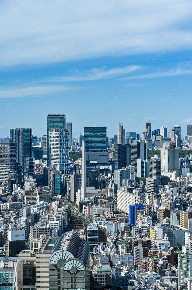 Obraz premium 日本東京の都市風景