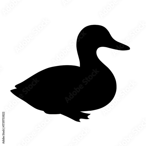 duck on white background