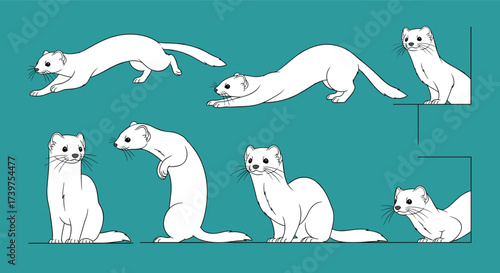 A collection of animated white stoats depicted in various playful poses and movements.