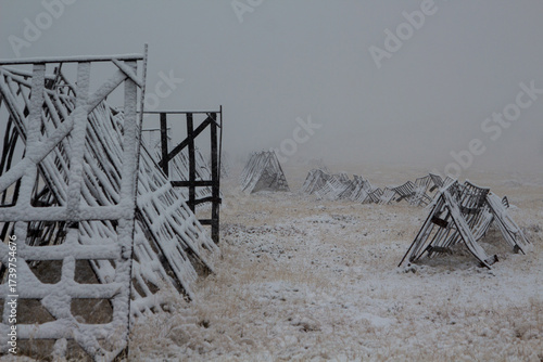 The Transalpina or DN67C is a 148 km national road located in the Parâng Mountains group, Southern Carpathians of Romania, one of the highest roads of the Carpathian Mountains