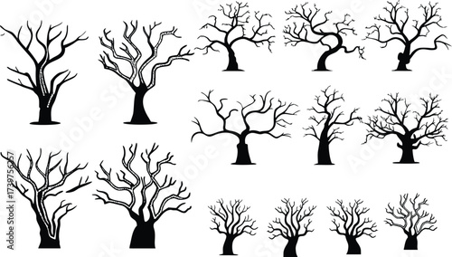 twisted bare haunted tree silhouettes