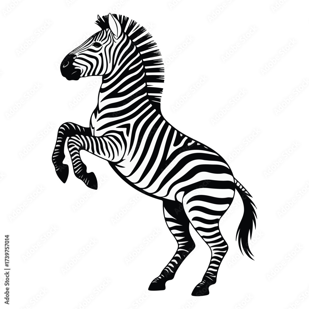 Naklejka premium Cartoon Zebra Vector Illustration