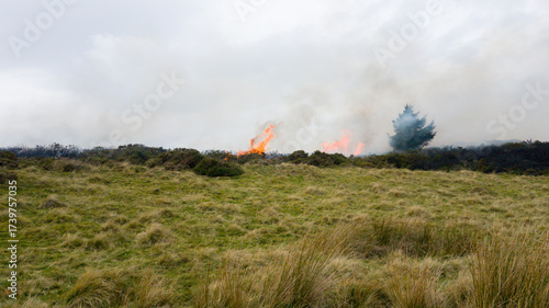 Forest fires spreading across the natural landscape of moorlands in rural England.Global warming and climate change have led dry arid moors which burn easily in the summer heat.