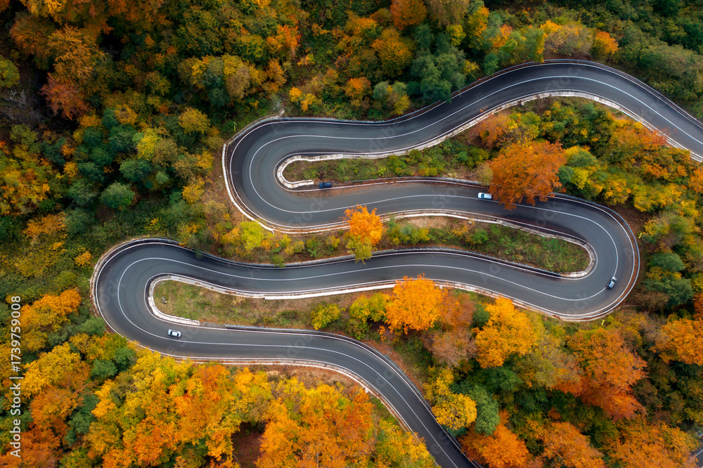 custom made wallpaper toronto digitalAerial view of curving road through colorful autumn forest
