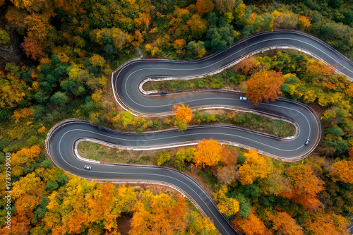 Fototapeta Naklejka Na Ścianę i Meble -  Aerial view of curving road through colorful autumn forest
