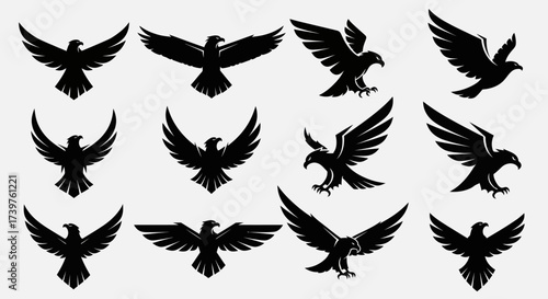 Six powerful black eagle logos and silhouettes in dynamic flight poses, ideal for branding, emblems, and graphic design projects, isolated on a light background., Flat Vector Elements, Vector