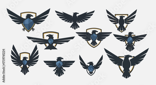 Modern Geometric Eagle and Shield Logo Collection in Dark Blue, Gold, and White on a Light Gray Background - Stylized Avian Emblems for Branding and Team Identity, Flat Vector Elements, Vector