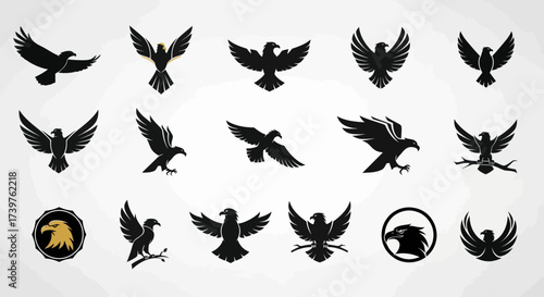 A diverse collection of stylized eagle and hawk logo designs, featuring powerful of prey vector emblems in various poses and minimalist silhouettes for branding., Flat Vector Elements, Vector