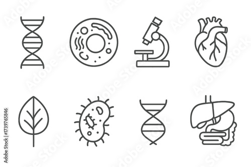 Biology Study Icons. Line style icons of biology studies: DNA strand, cell structure, microscope slide, heart anatomy, plant leaf,
