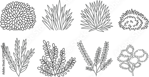 Botanical plant silhouettes, black and white foliage vector, leaf structure illustration, garden shrub sketch, CAD drawing flat vector illustration