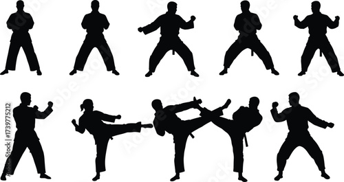 Martial arts silhouette vector, karate poses, taekwondo stances, cad drawing, flat illustration, training movements, combat action, symmetrical design