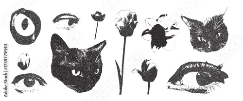 Photocopy effect flowers, eyes and cats collage set. Tulips and narcissus collection. Cutout floral elements for mixed media. Pieces of retro magazine wildflowers and cats head. Vector illustration.