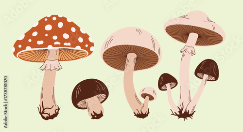 A whimsical collection of illustrated mushrooms in various shapes and sizes.