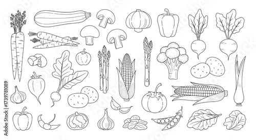 A collection of diverse fresh vegetables and fruits drawn in outline.